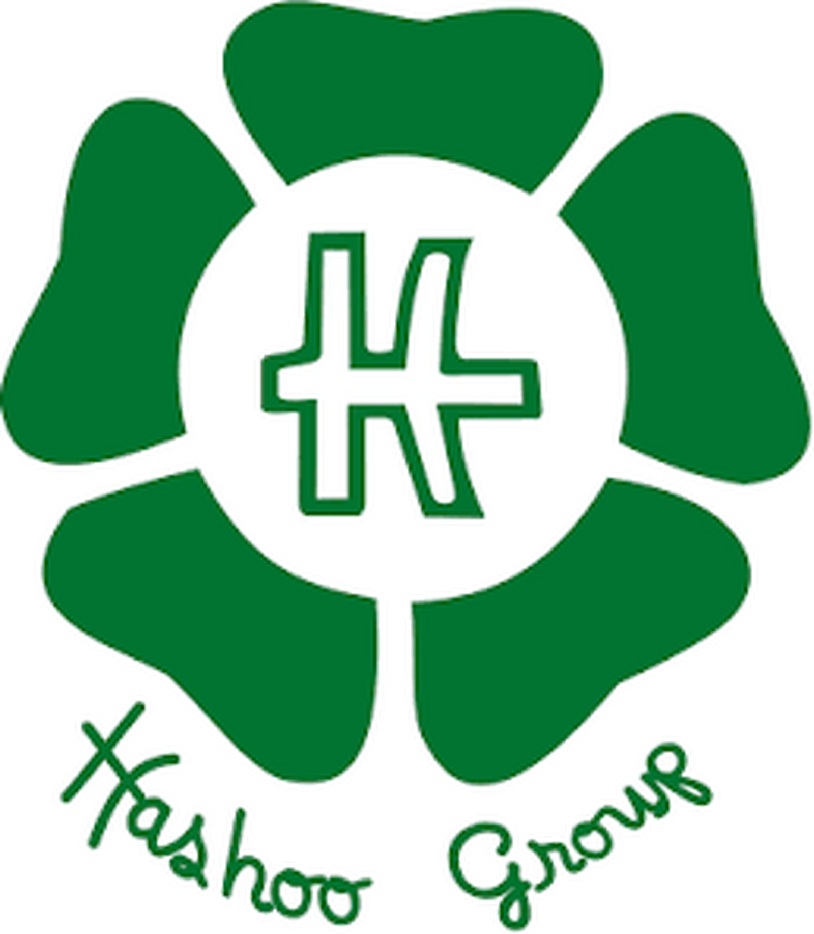 Hashoo Group logo
